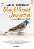 Sukses Penangkaran Blackthroat Jawara untuk Hobbies dan Bisnis
