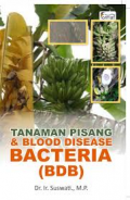 Tanaman Pisang&Blood Disease Bacteria(BDB)